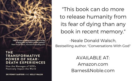 NDE book quote