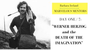 Marvelous Mentors1-Herzog2