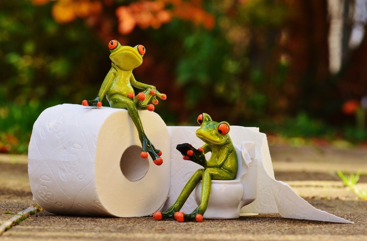 frog-tp